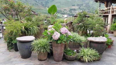 La Dao Spa Homestay – Fotos 14